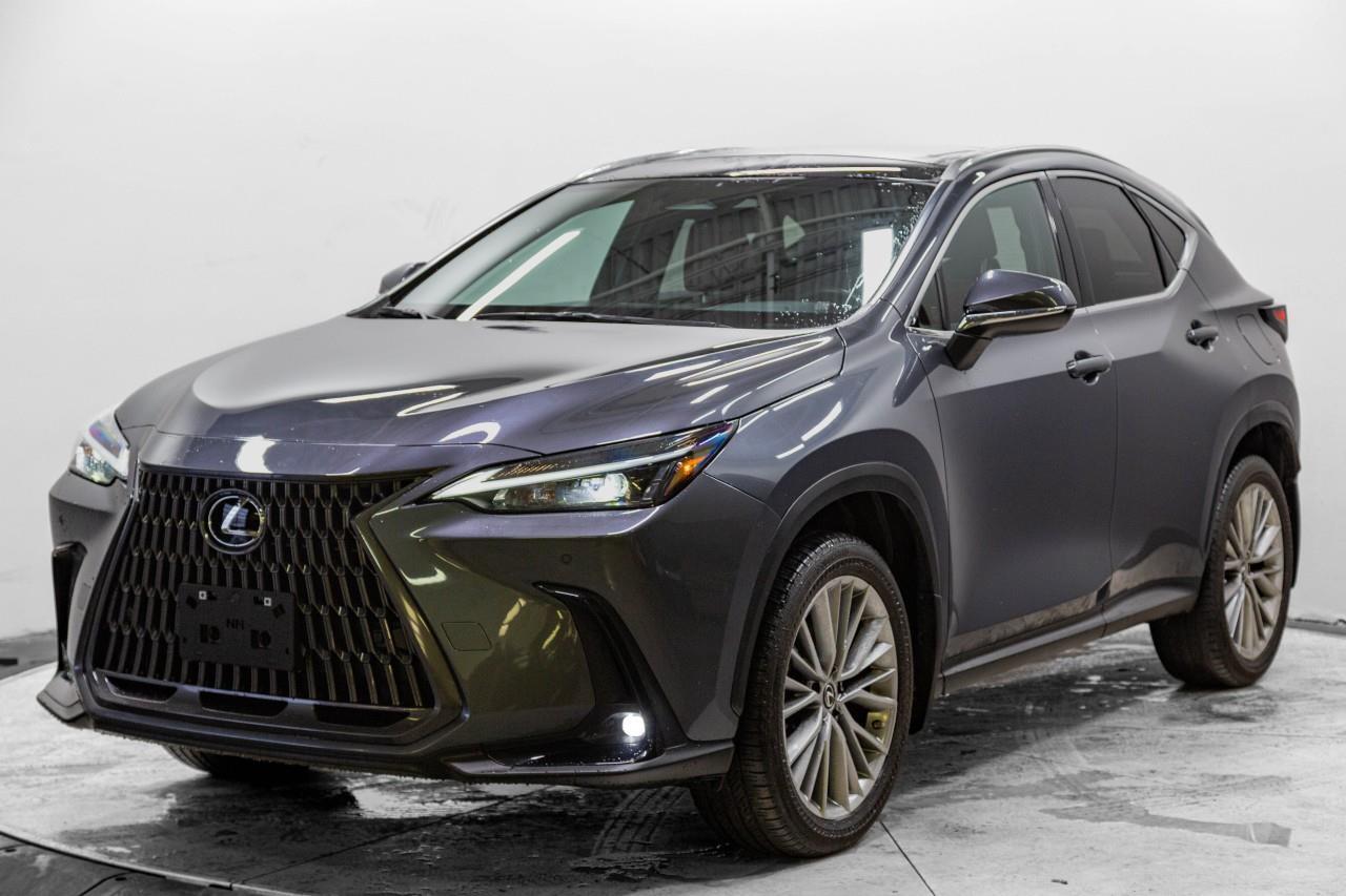 Lexus NX 2022