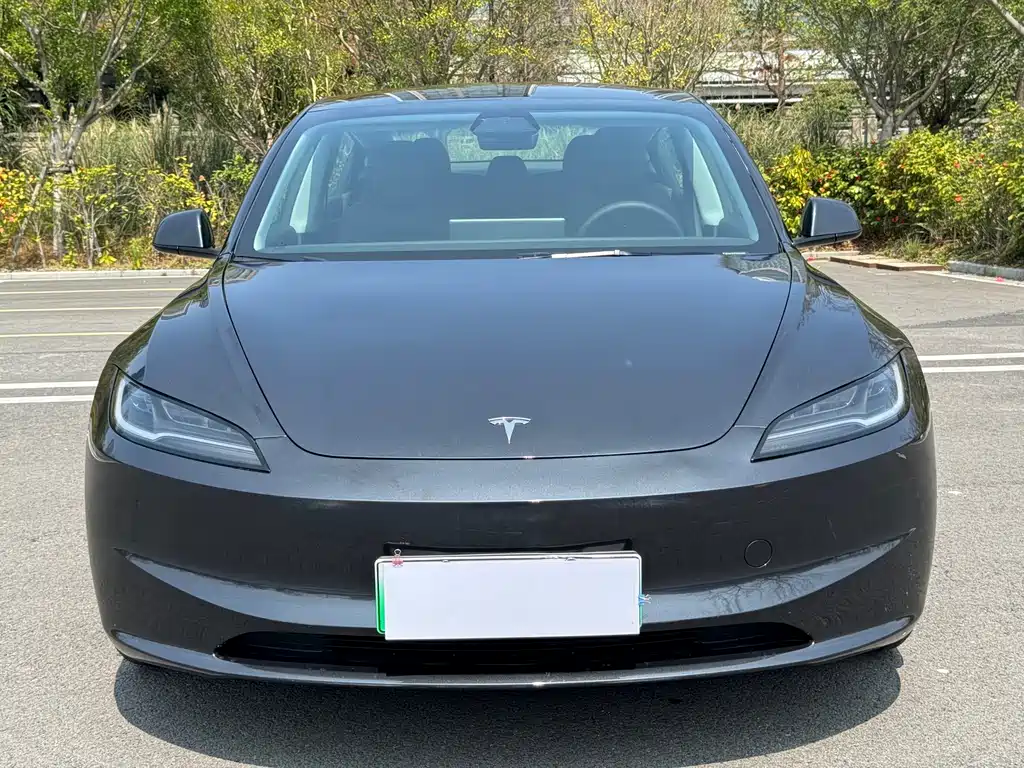 Tesla Model 3 2025