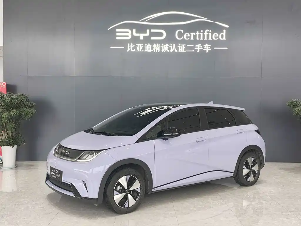 BYD Dolphin 2024