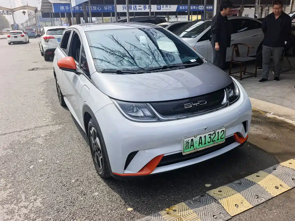 BYD Dolphin 2021