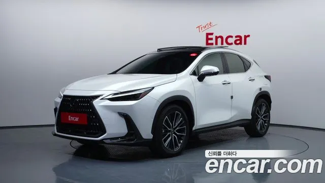 Lexus NX 2024