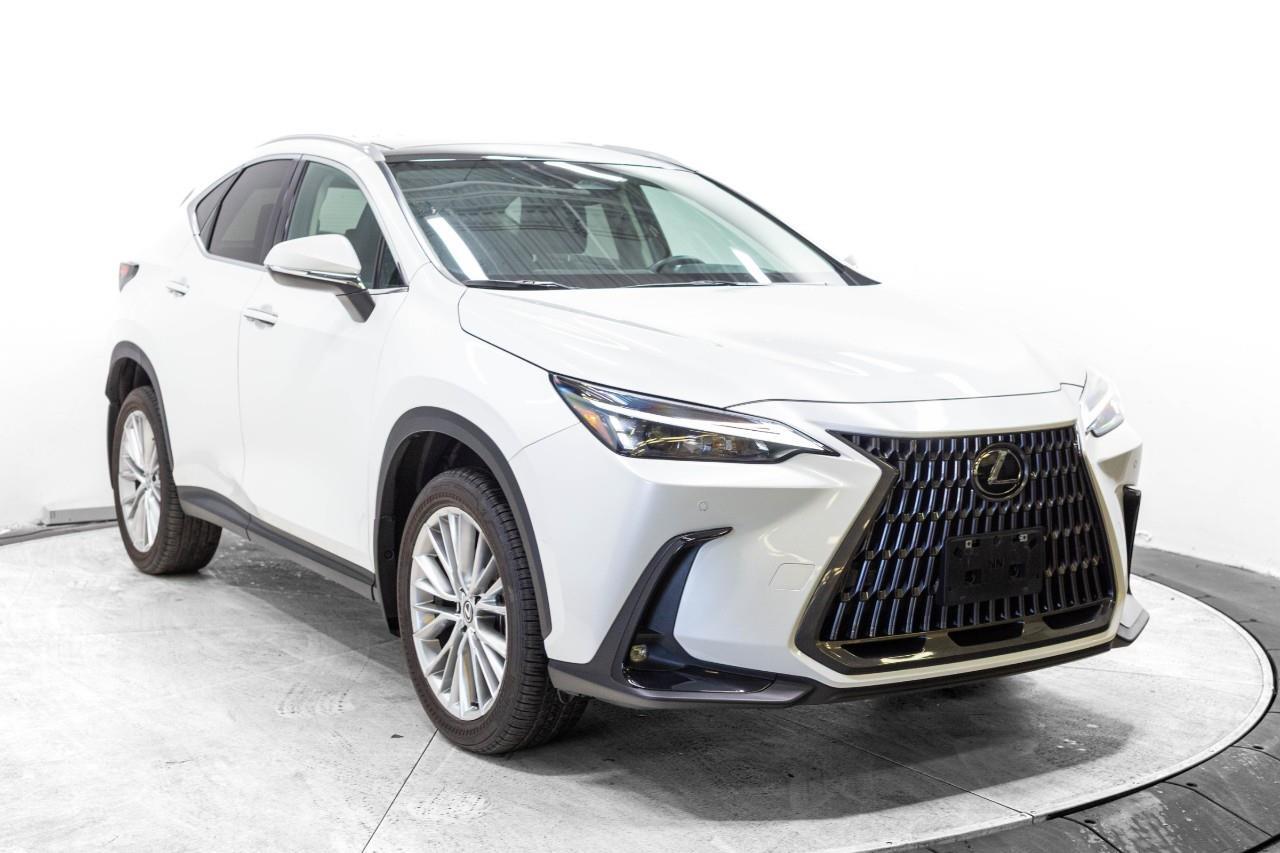Lexus NX 2024