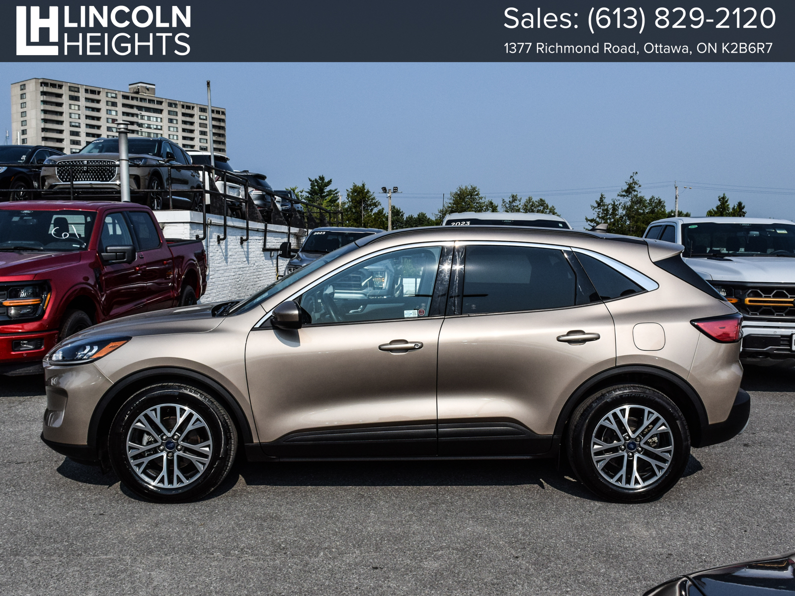 Ford Escape 2021