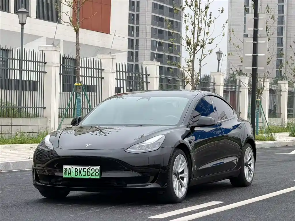 Tesla Model 3 2021