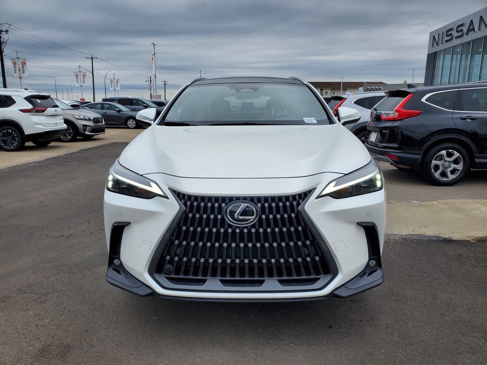 Lexus NX 2022