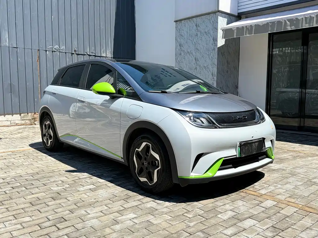 BYD Dolphin 2021
