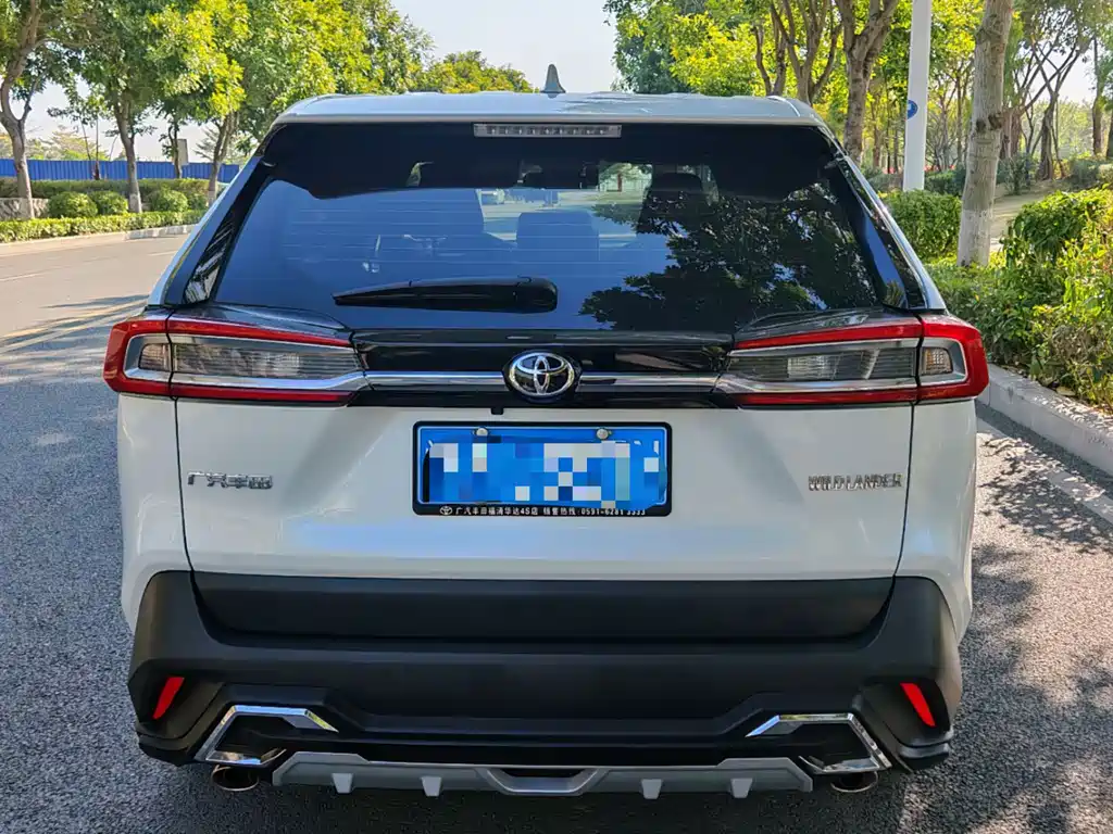 Toyota Wildlander 2021