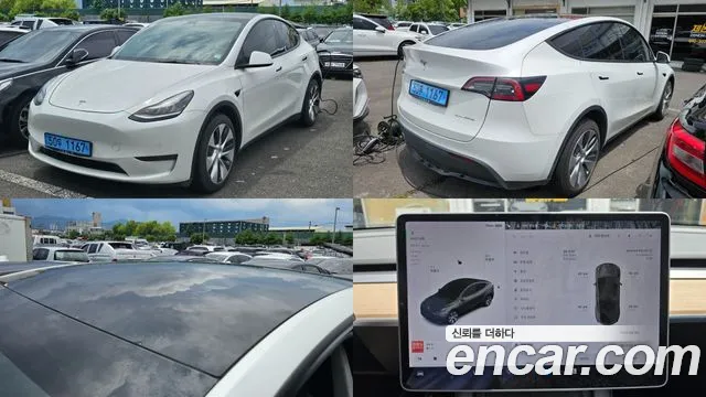 Tesla Model Y 2021
