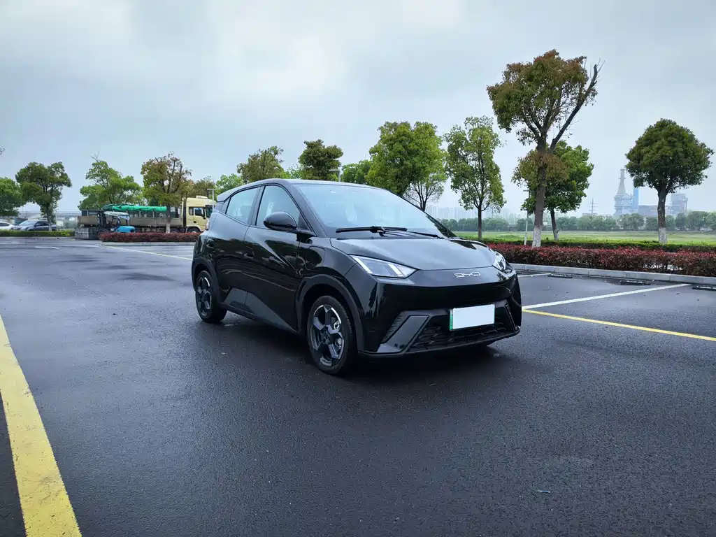 BYD Seagull 2024