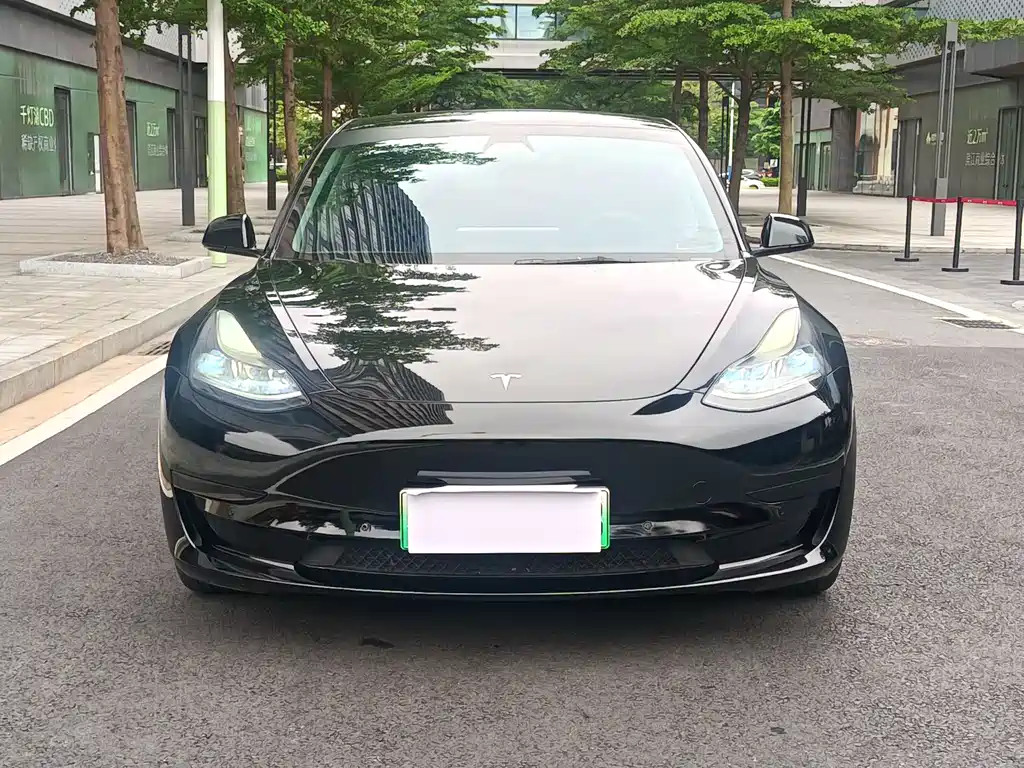 Tesla Model 3 2021