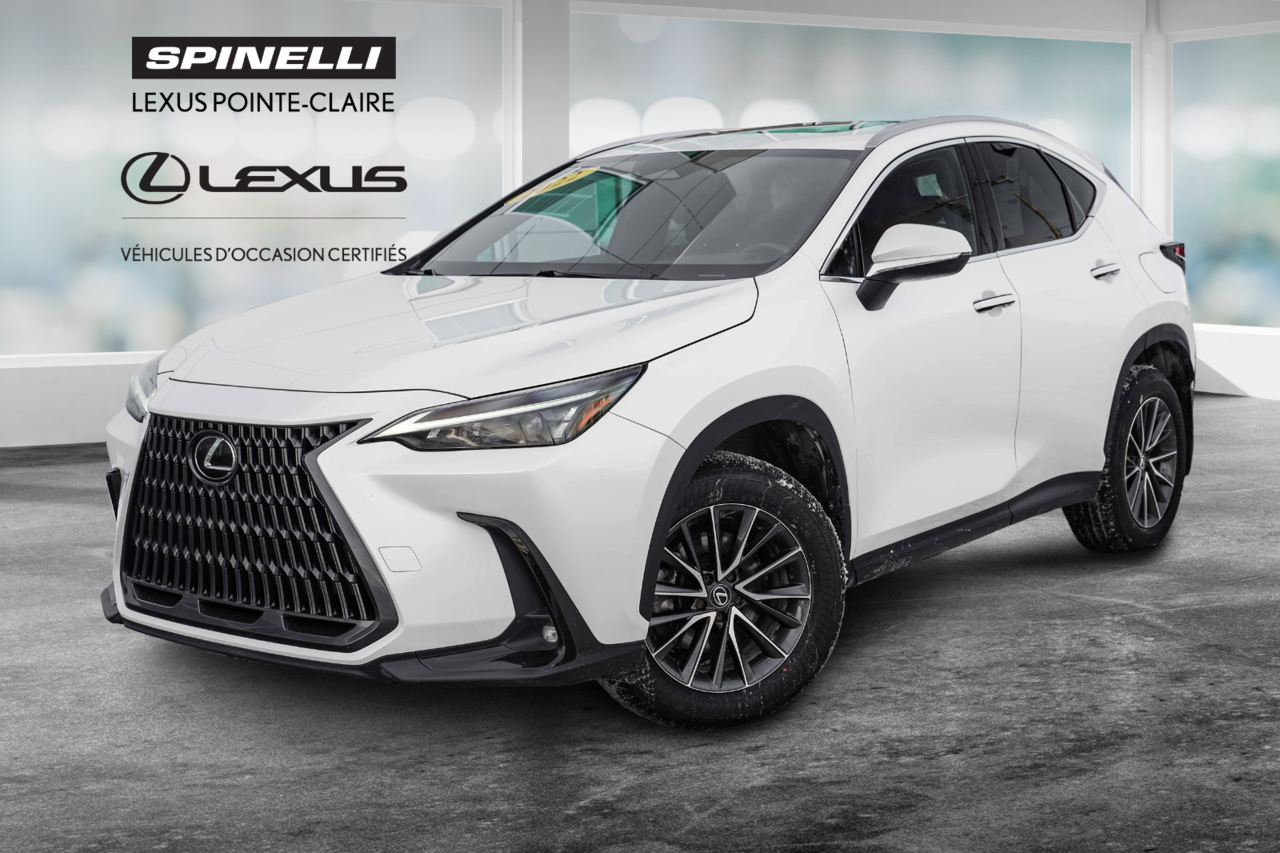 Lexus NX 2022