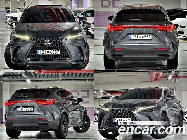 Lexus NX 2023