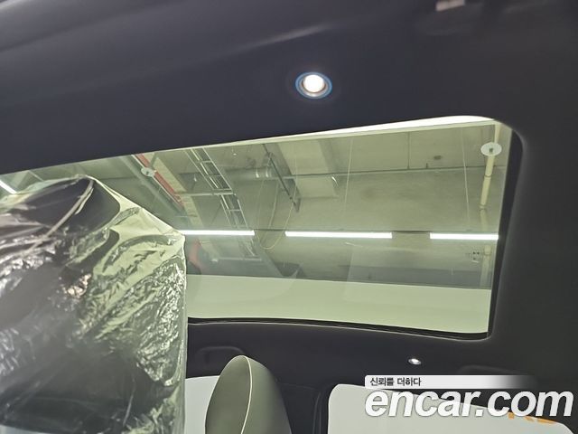 BYD Dolphin 2026