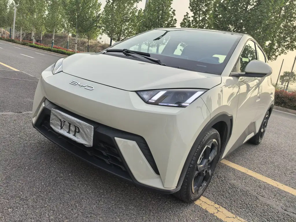BYD Seagull 2024