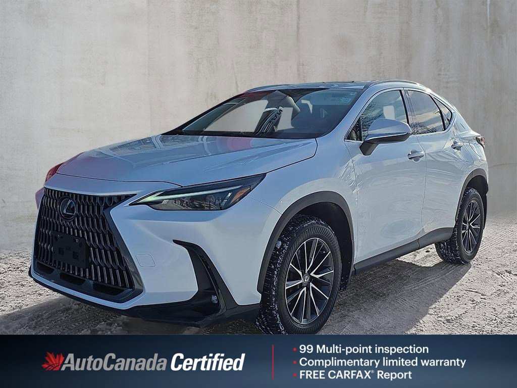 Lexus NX 2024