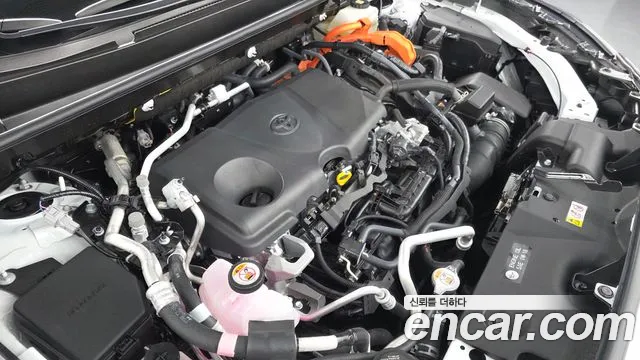 Toyota RAV4 2025