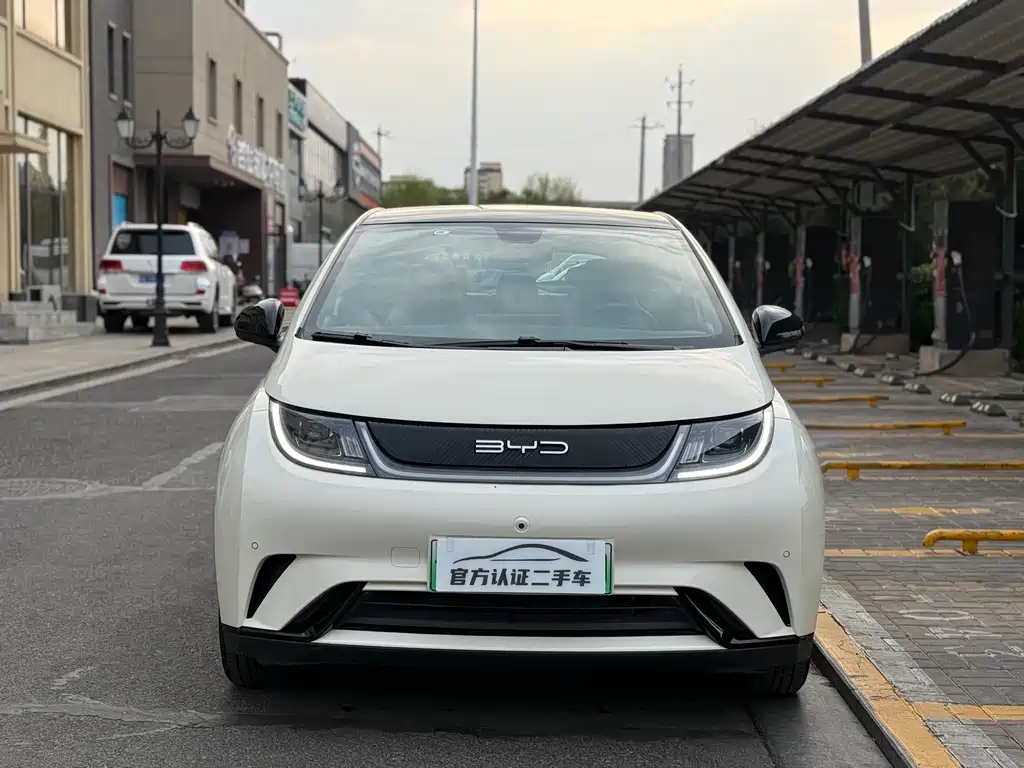 BYD Dolphin 2023