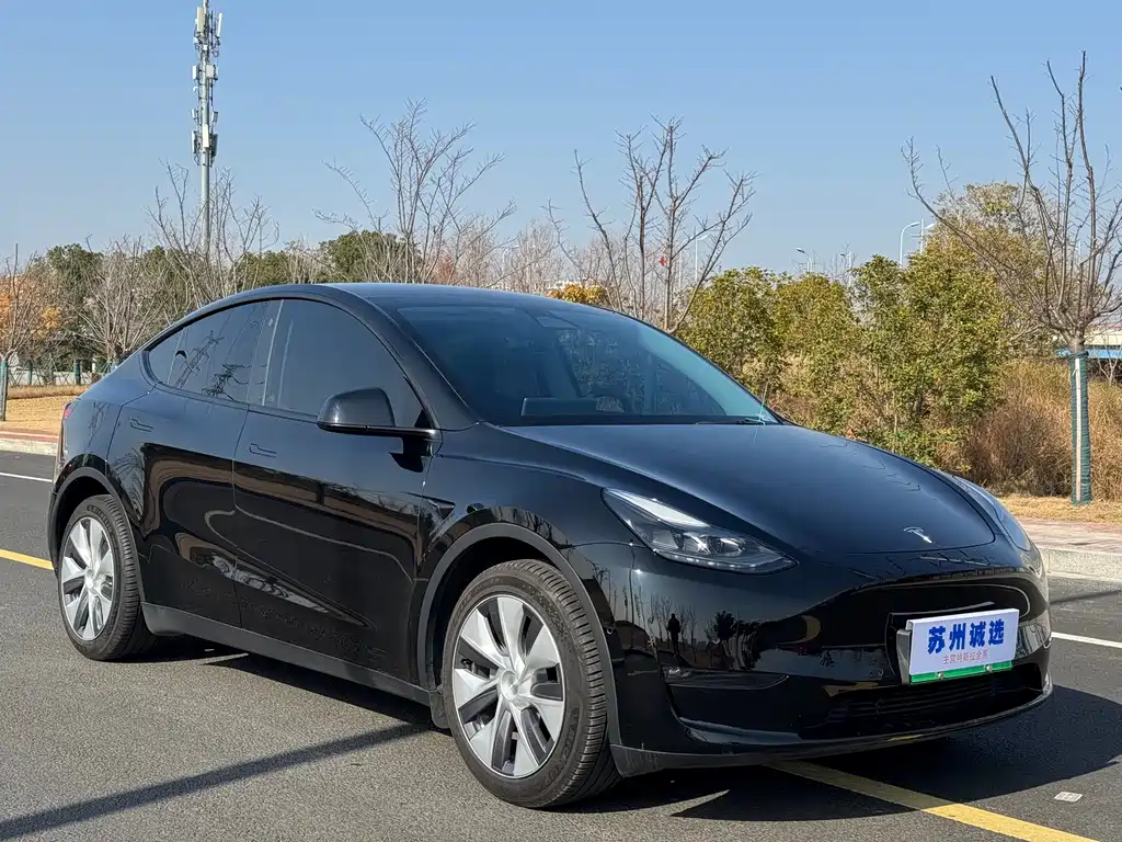 Tesla Model Y 2021