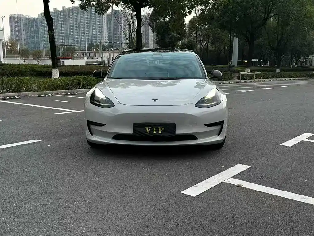 Tesla Model 3 2022