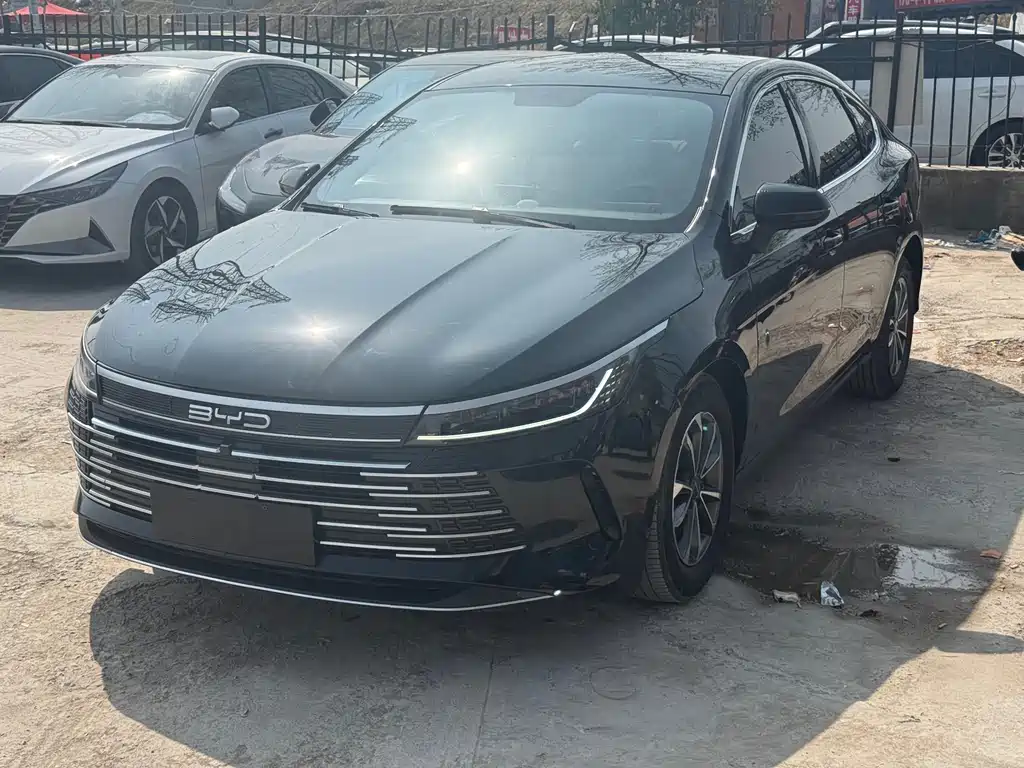 BYD Destroyer 05 2024