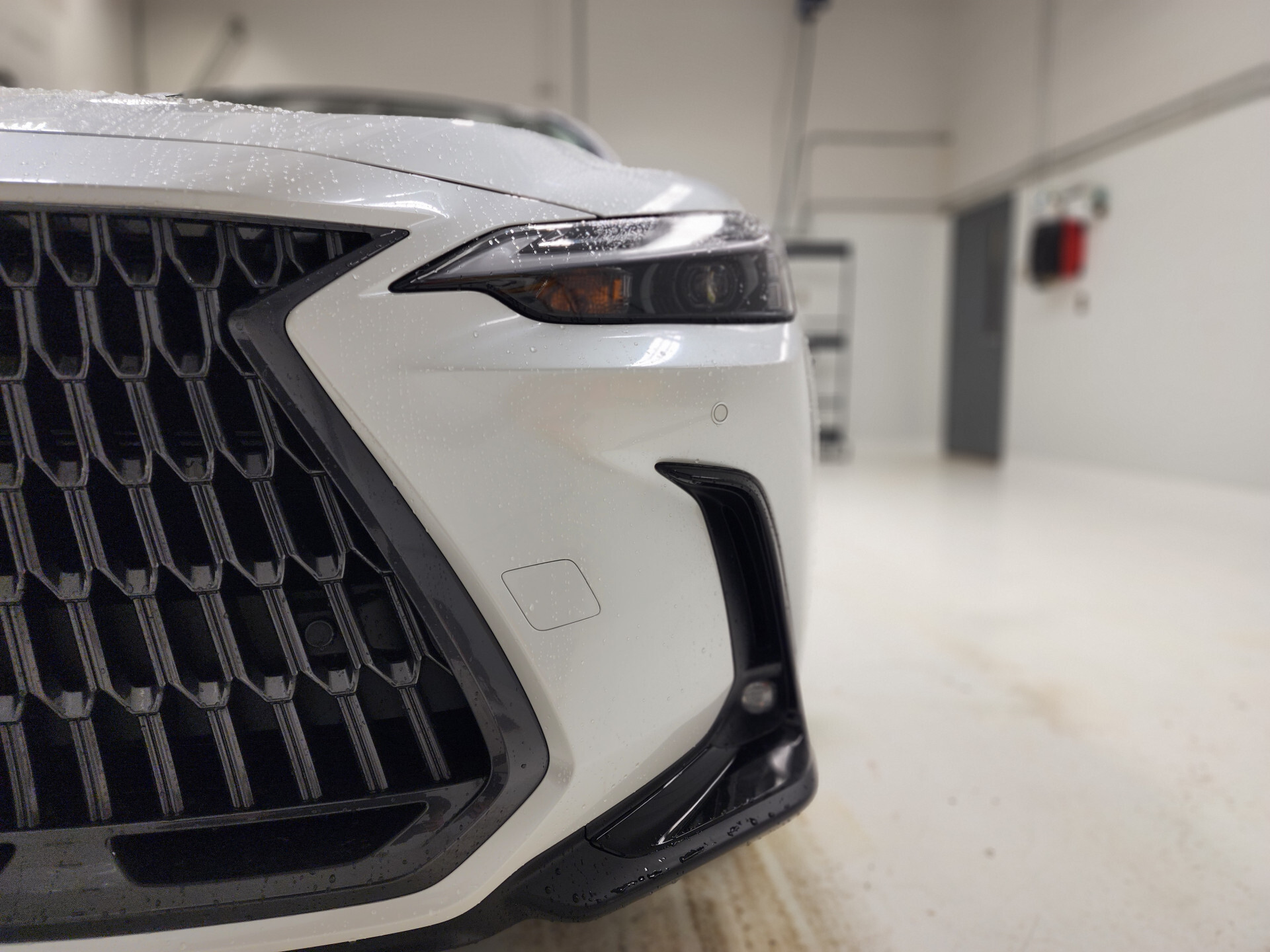 Lexus NX 2024