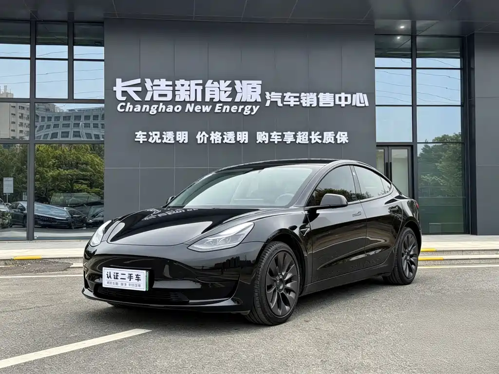 Tesla Model 3 2021