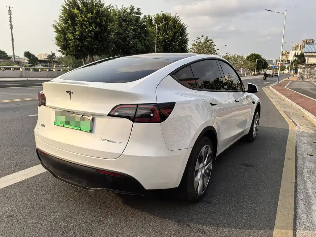 Tesla Model Y 2021
