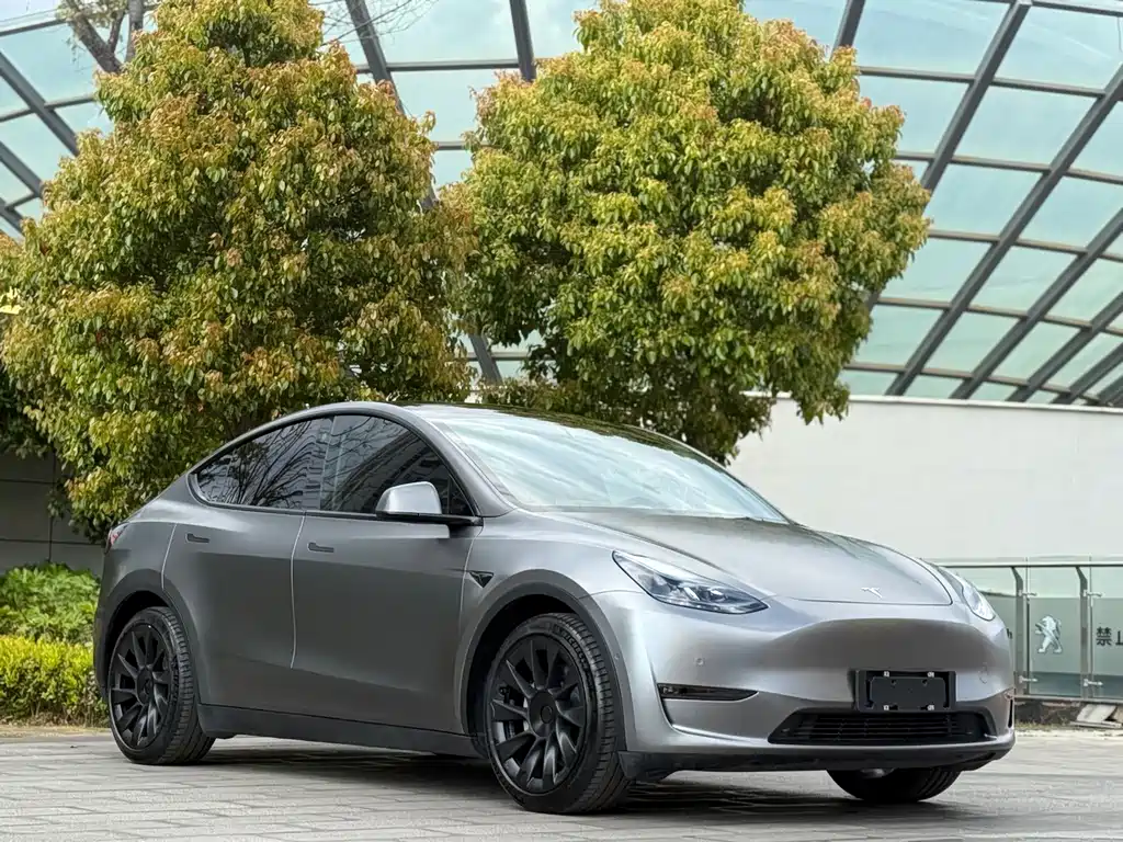 Tesla Model Y 2021