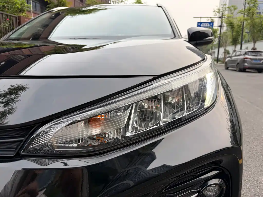 Toyota Wildlander 2021