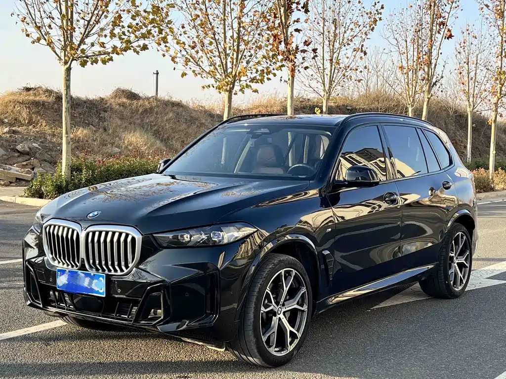 BMW X5 2024