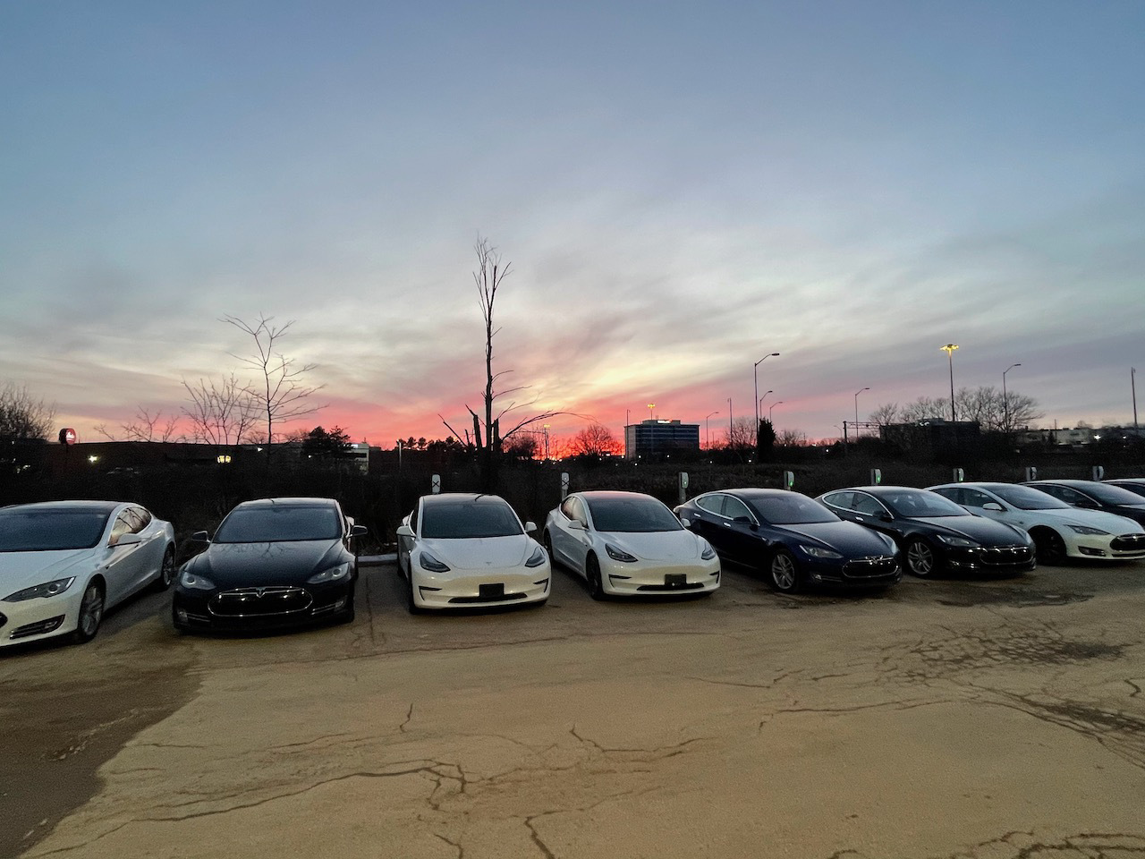 Tesla Model Y 2020