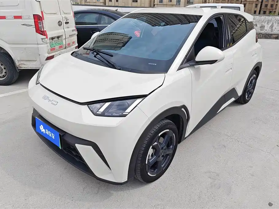 BYD Seagull 2024