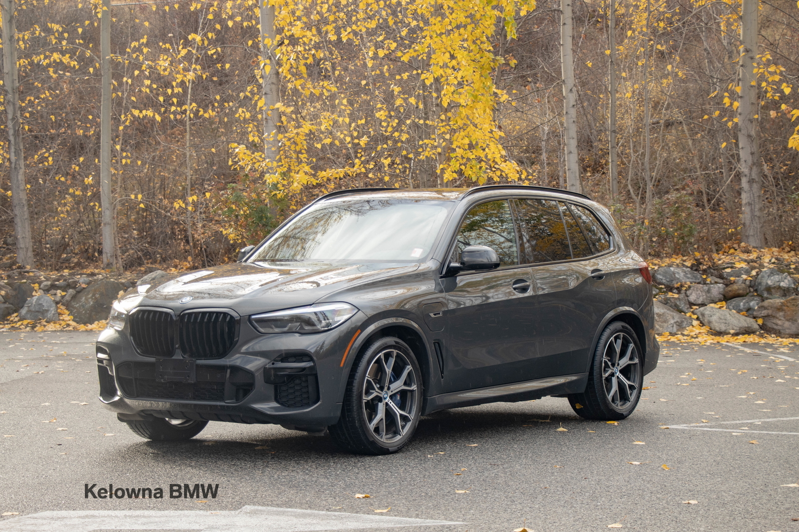 BMW X5 2022