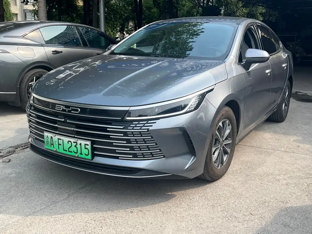 BYD Destroyer 05 2024