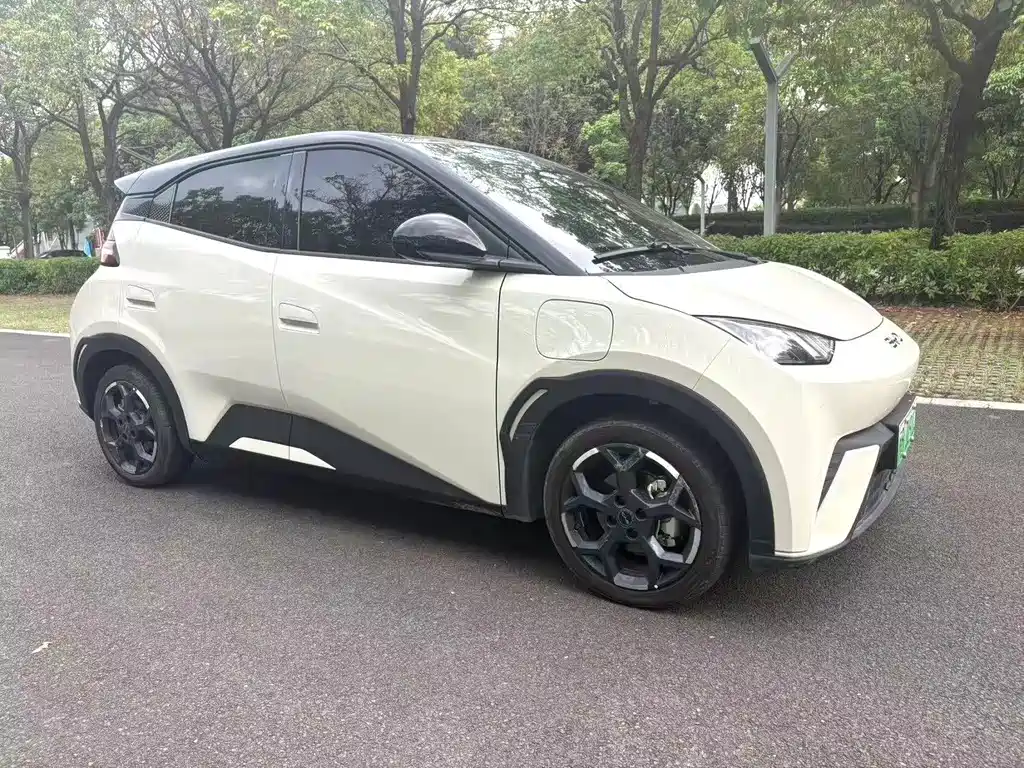 BYD Seagull 2024