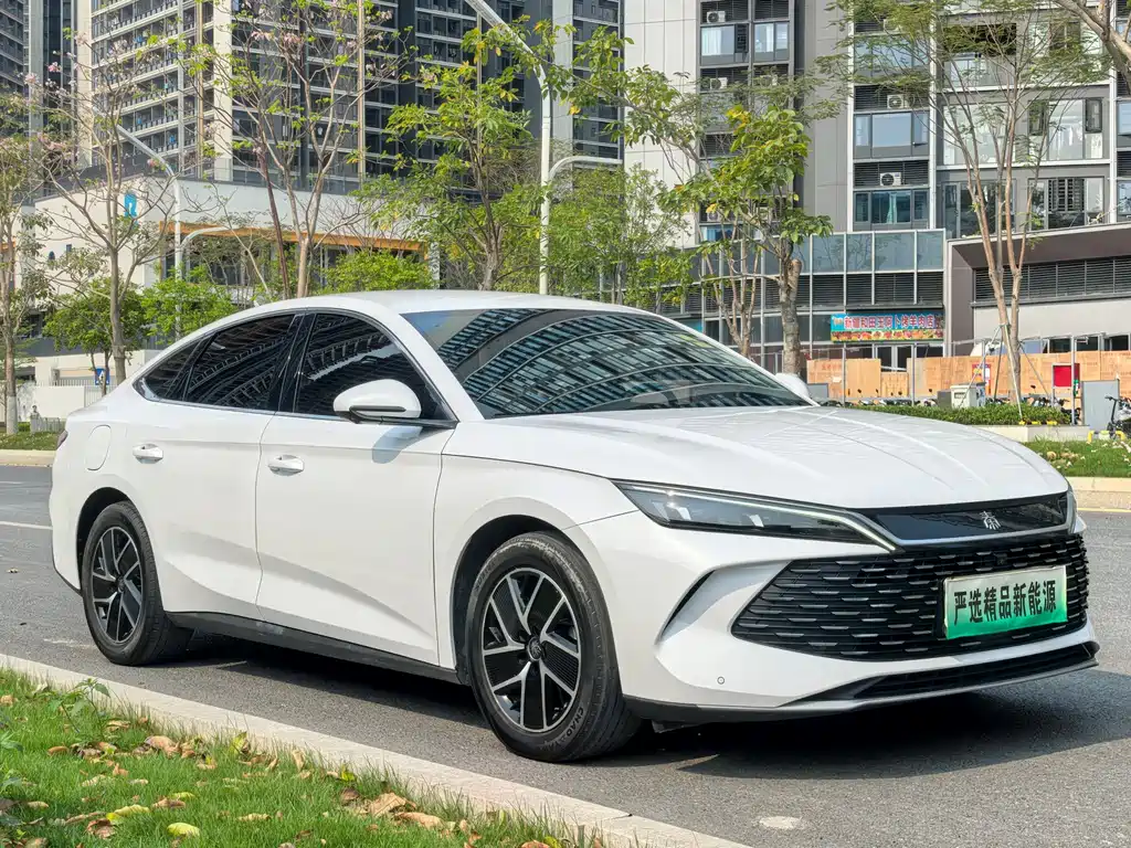 BYD Qin 2024