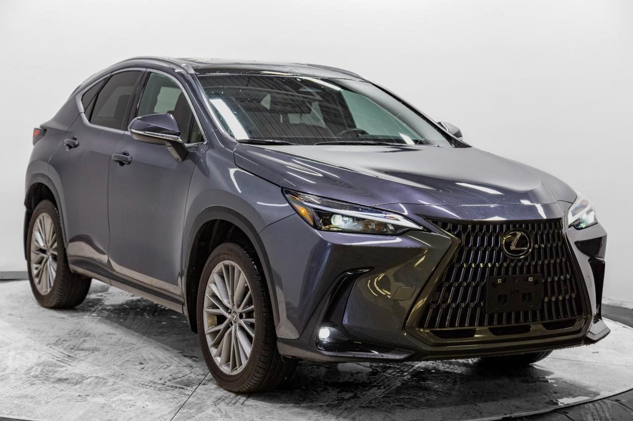 Lexus NX 2022