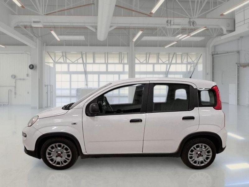 Fiat Panda 2023