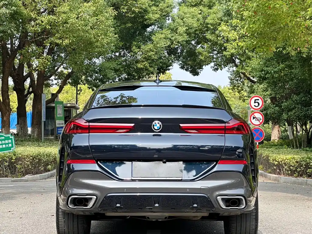BMW X6 2021