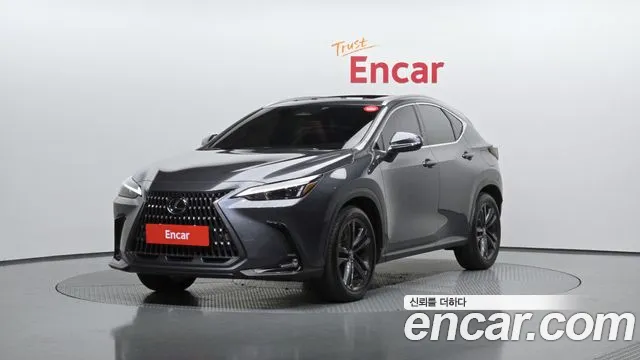 Lexus NX 2024