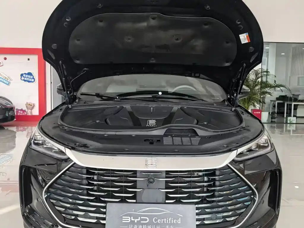BYD Tang 2025