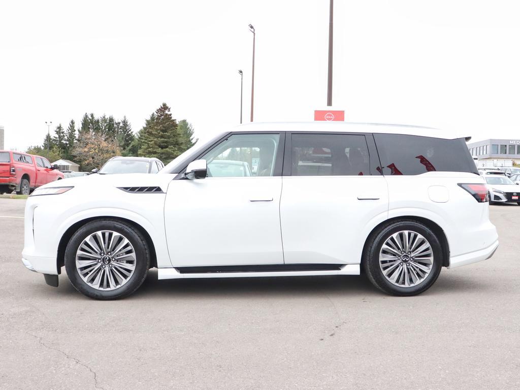 Infiniti QX80 2025