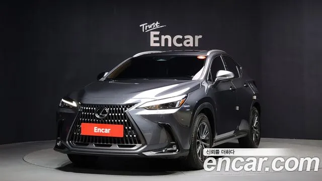 Lexus NX 2024