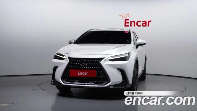 Lexus NX 2022