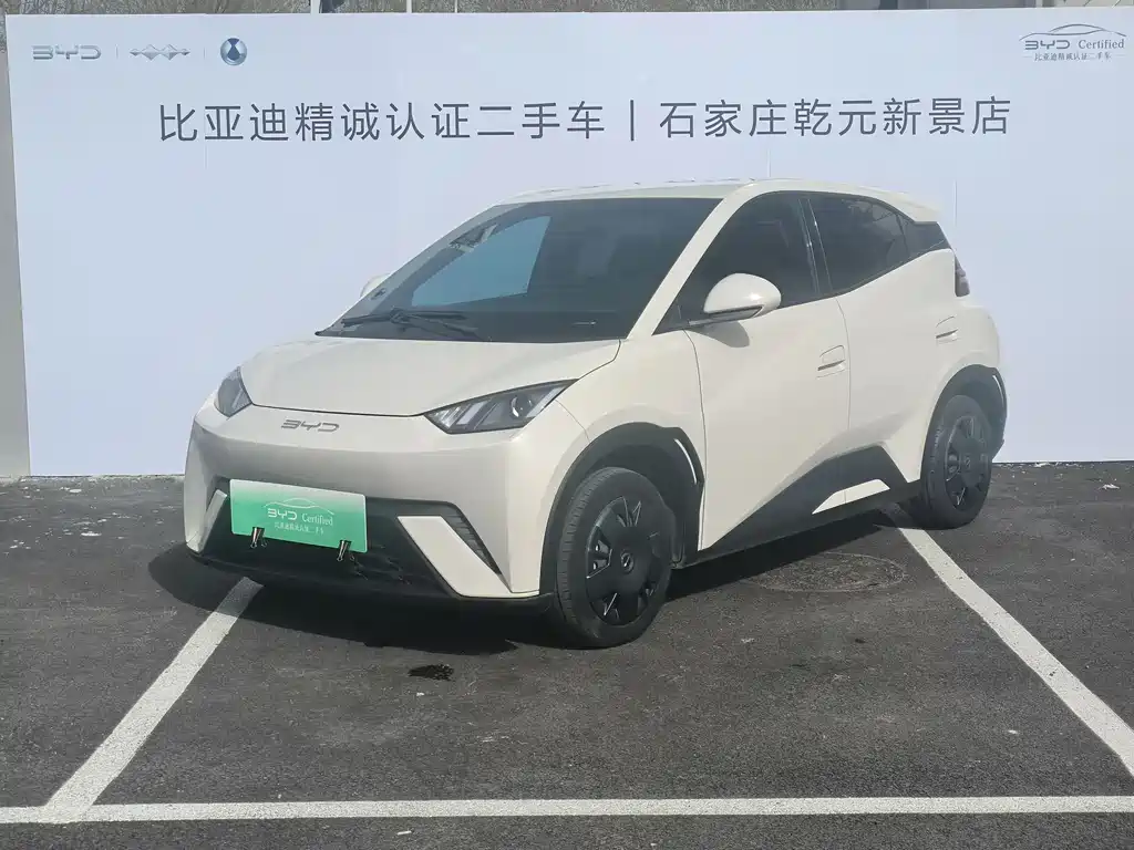 BYD Seagull 2024