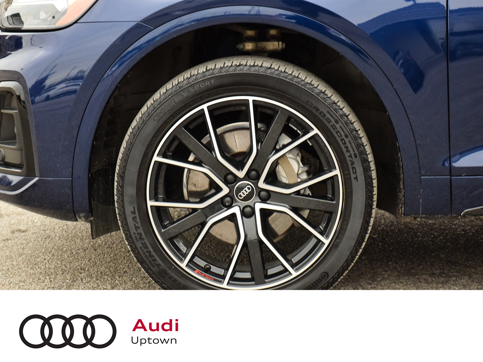 Audi Q5 2023