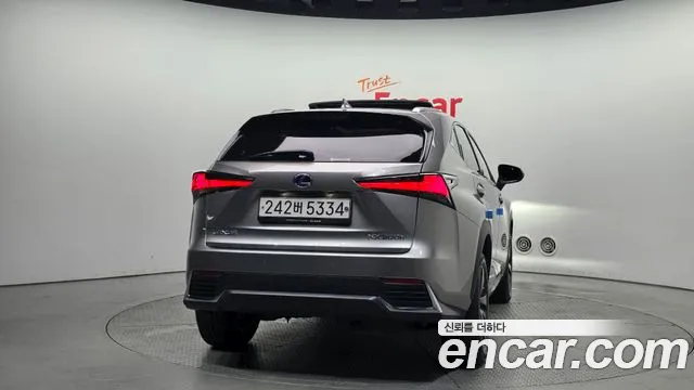Lexus NX 2020