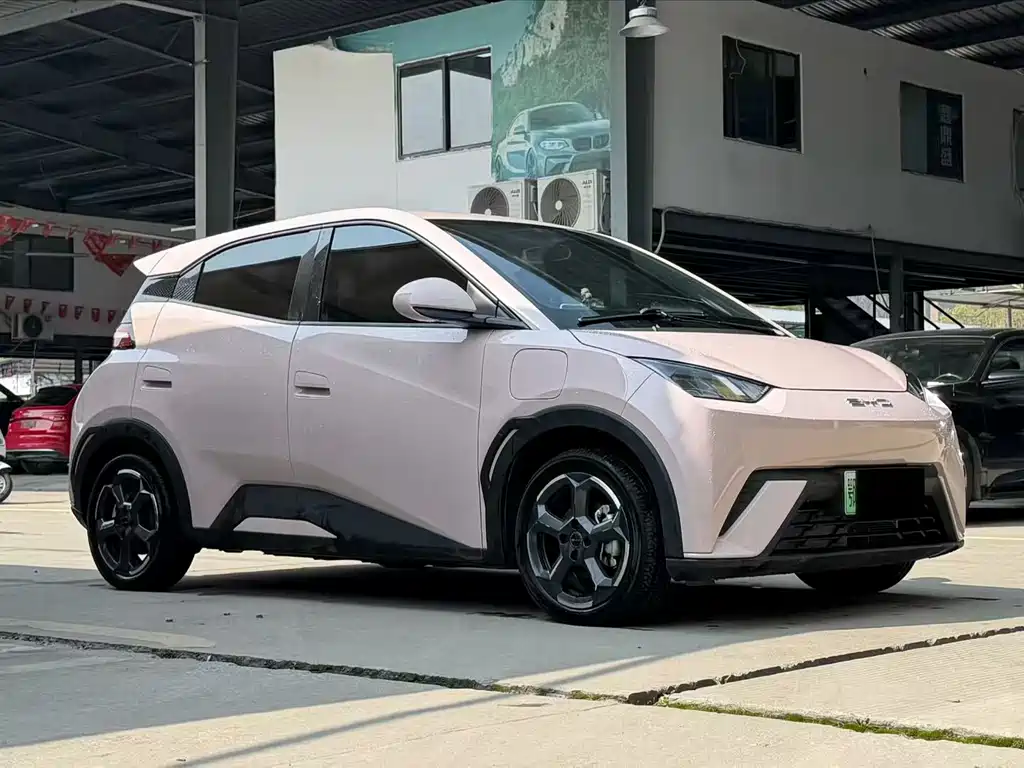 BYD Seagull 2024