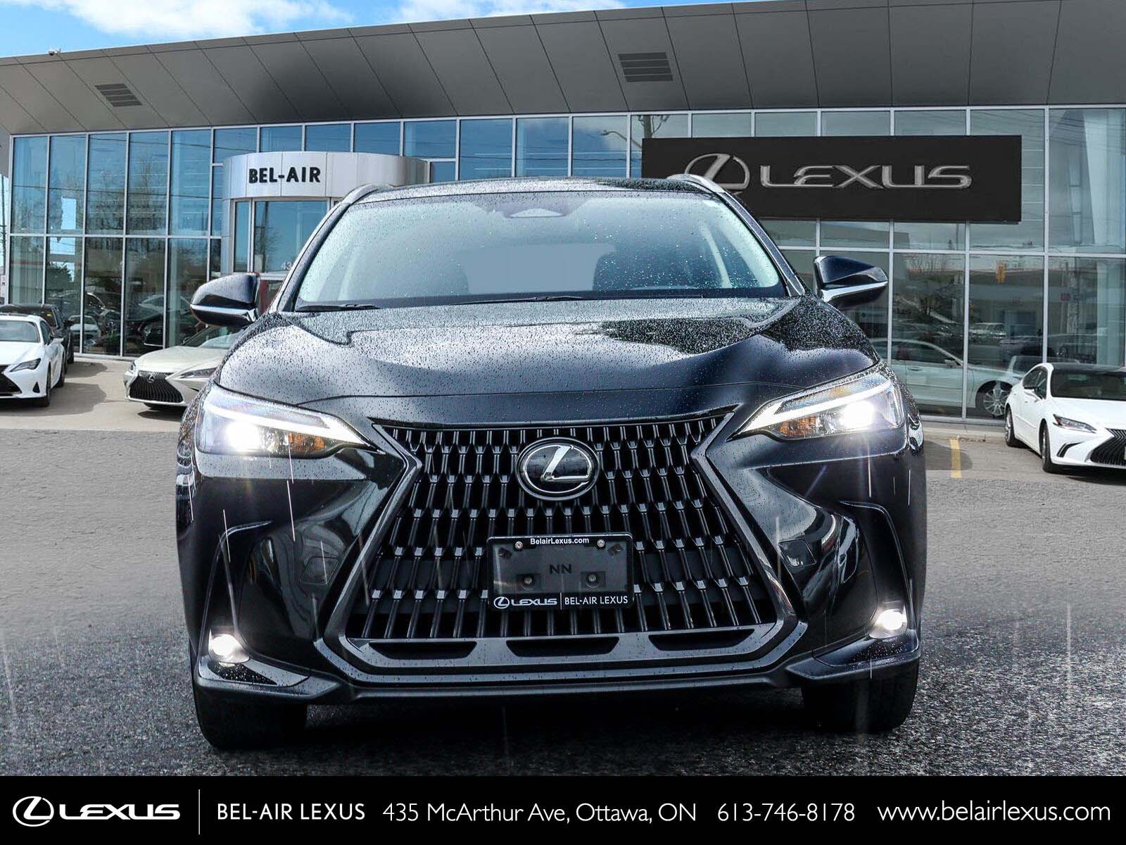Lexus NX 2022