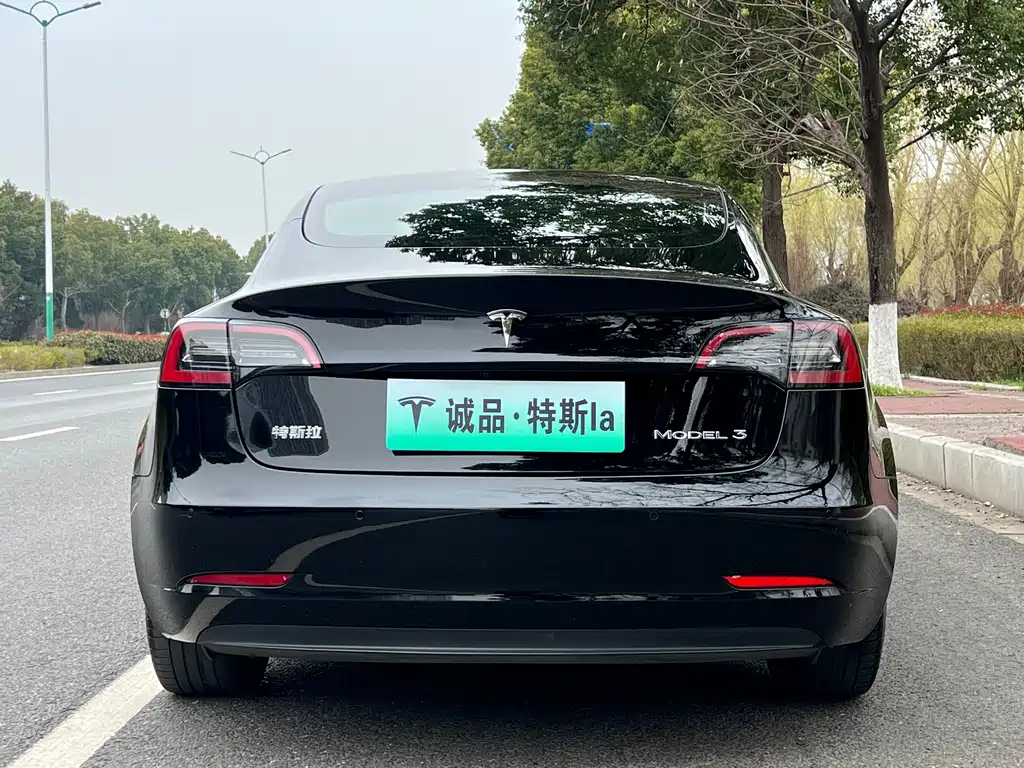 Tesla Model 3 2022